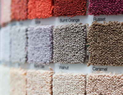 Comparing Carpet Fibers