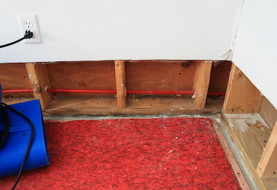 Sanitary and Unsanitary Water Damage To Your Carpet