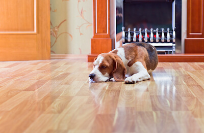 Can You Refinish Engineered Hardwood?