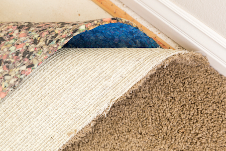 Shop For Padding Along With Your Carpet