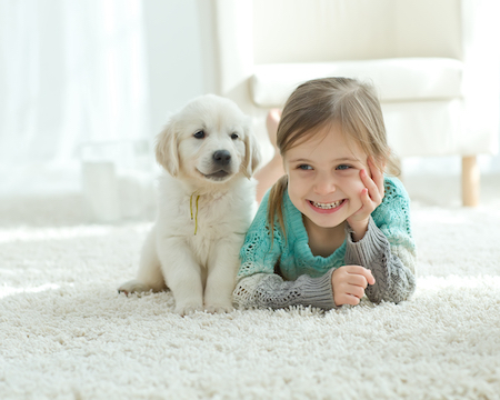 The Benefits of Carpeting Your Home