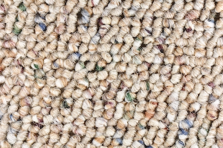 Wool berber shop carpet