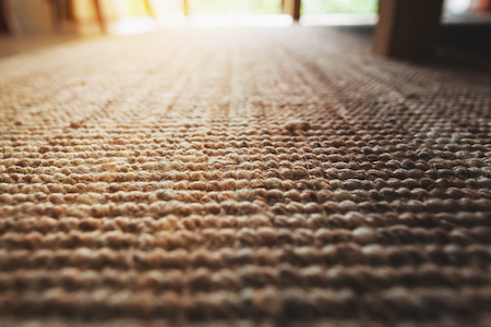 Pros and Cons of Wool Carpet