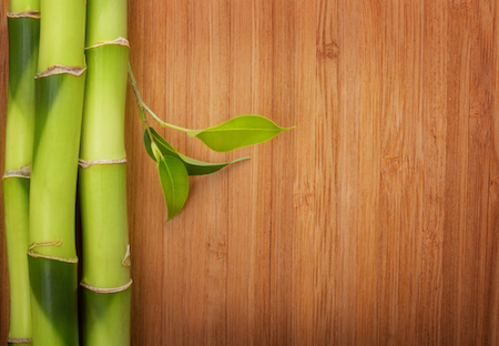 Why The Popularity of Bamboo Flooring Is Growing