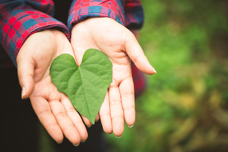 Are Green Flooring Materials More Expensive?