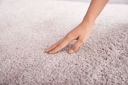 Softening Your Space with Plush and Inviting Carpet