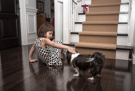 Best Hardwood Flooring For When Your Dogs and Cats Want To Play