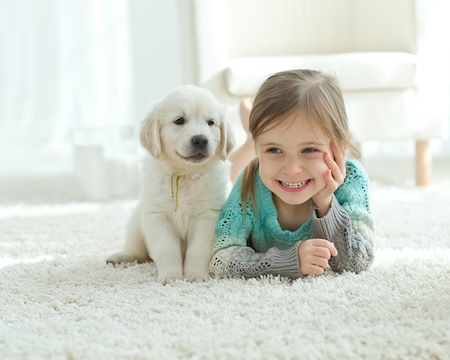 Choosing Pet-Friendly Carpeting for Fur-Friendly Homes